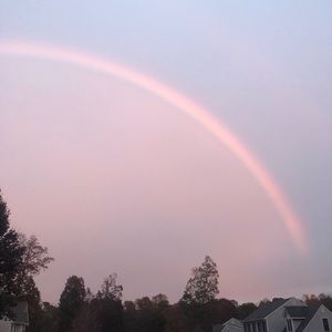 Meet your Posher, Jackson